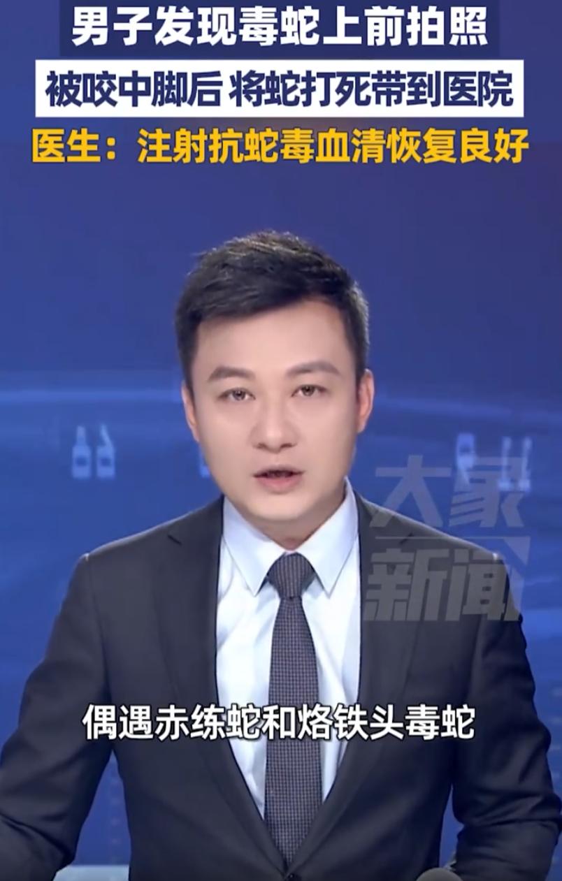 四川泸州，刘先生深夜从邻居家出来，走着走着，路边地面上盘着两团东西。一条赤链蛇，