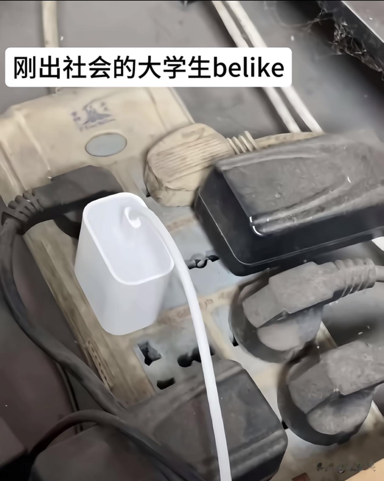 像不像现在的职场，其他的我可能不敢动，但那个手机充电器拔下来肯定没事