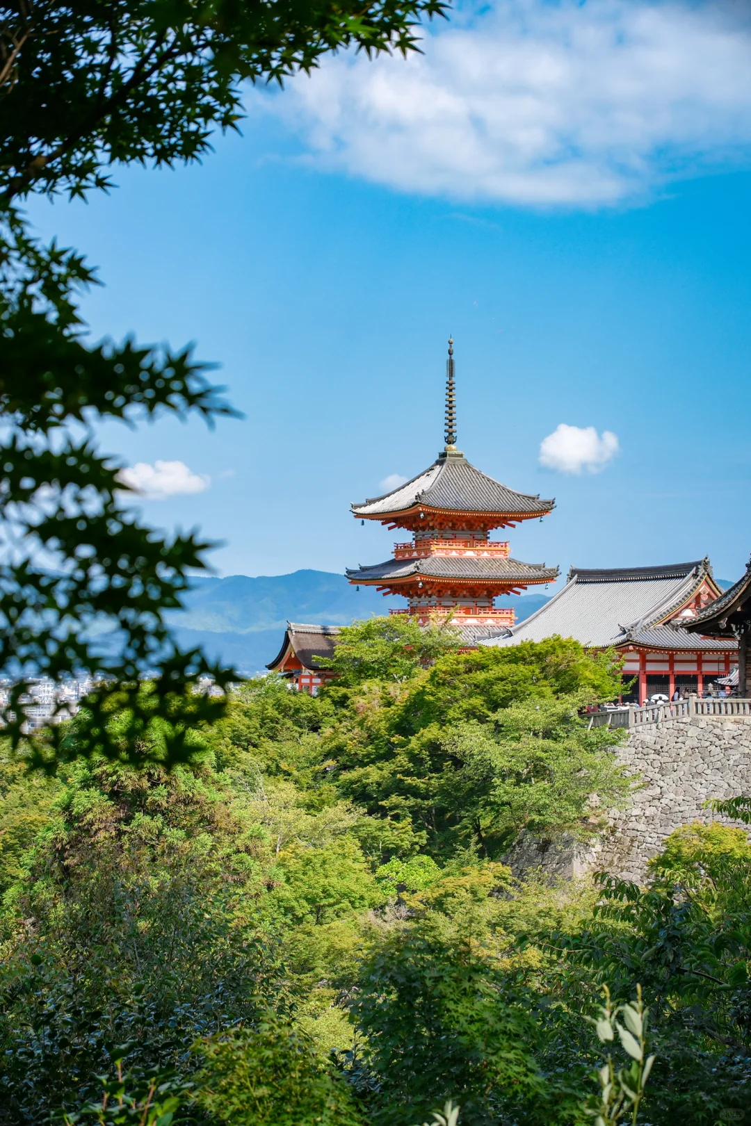 京都真的会奖励每一个早起的人🍁秋景攻略