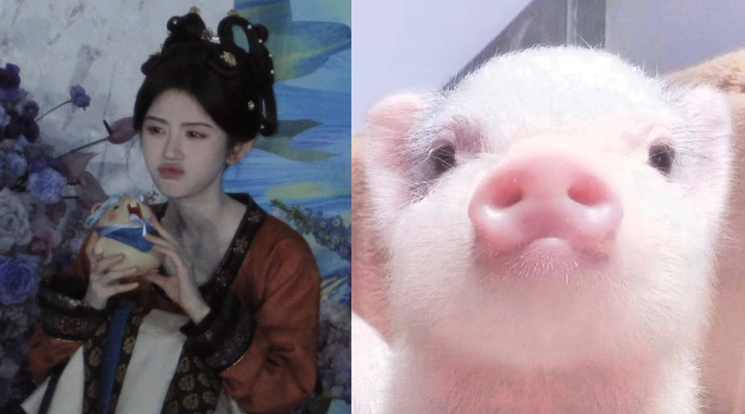奥菲斯也是猪塑