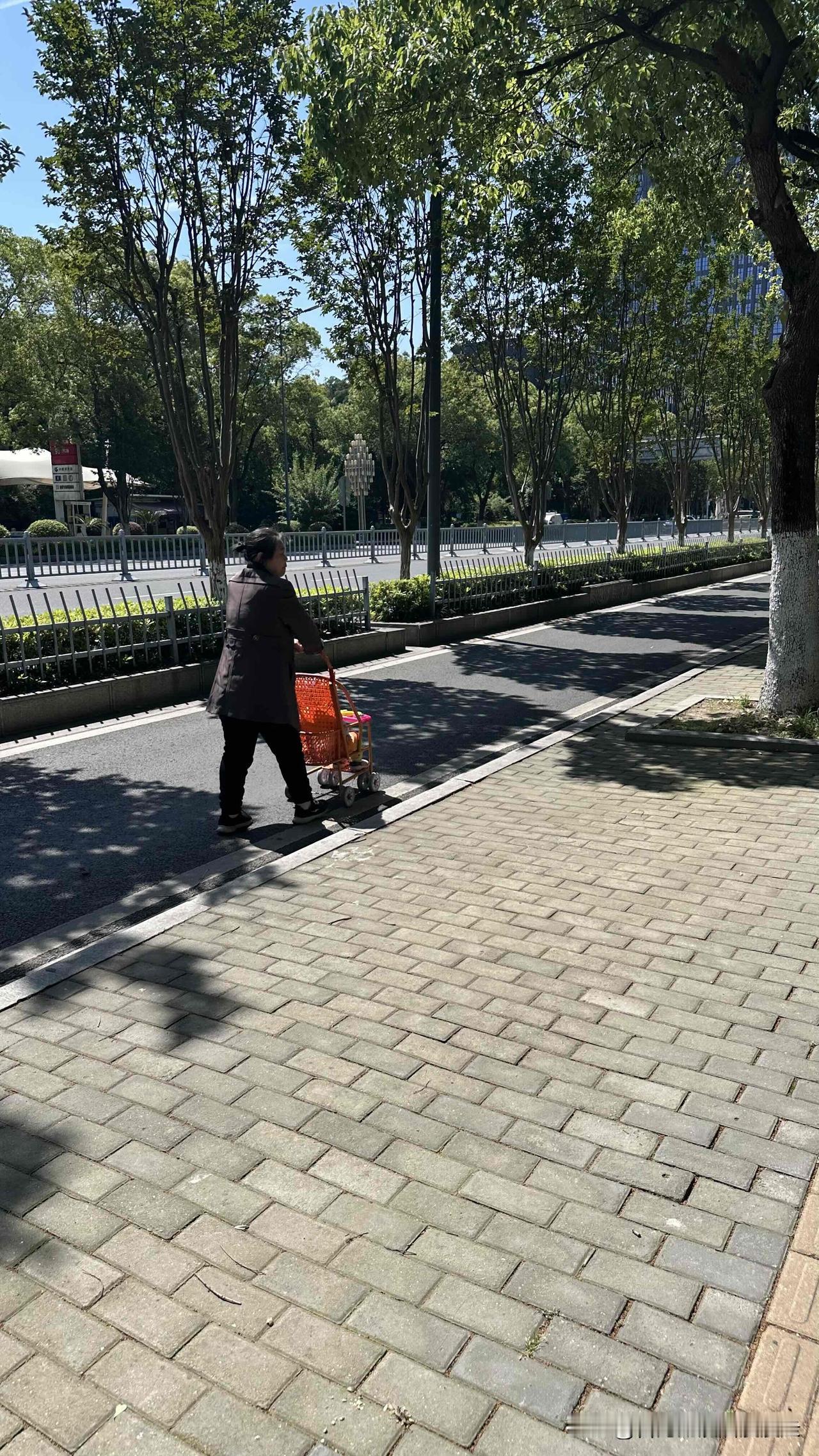 台北人在苏州，自从我来到大陆生活后，越来越常管闲事，早上外出遛狗看见一阿姨推着婴