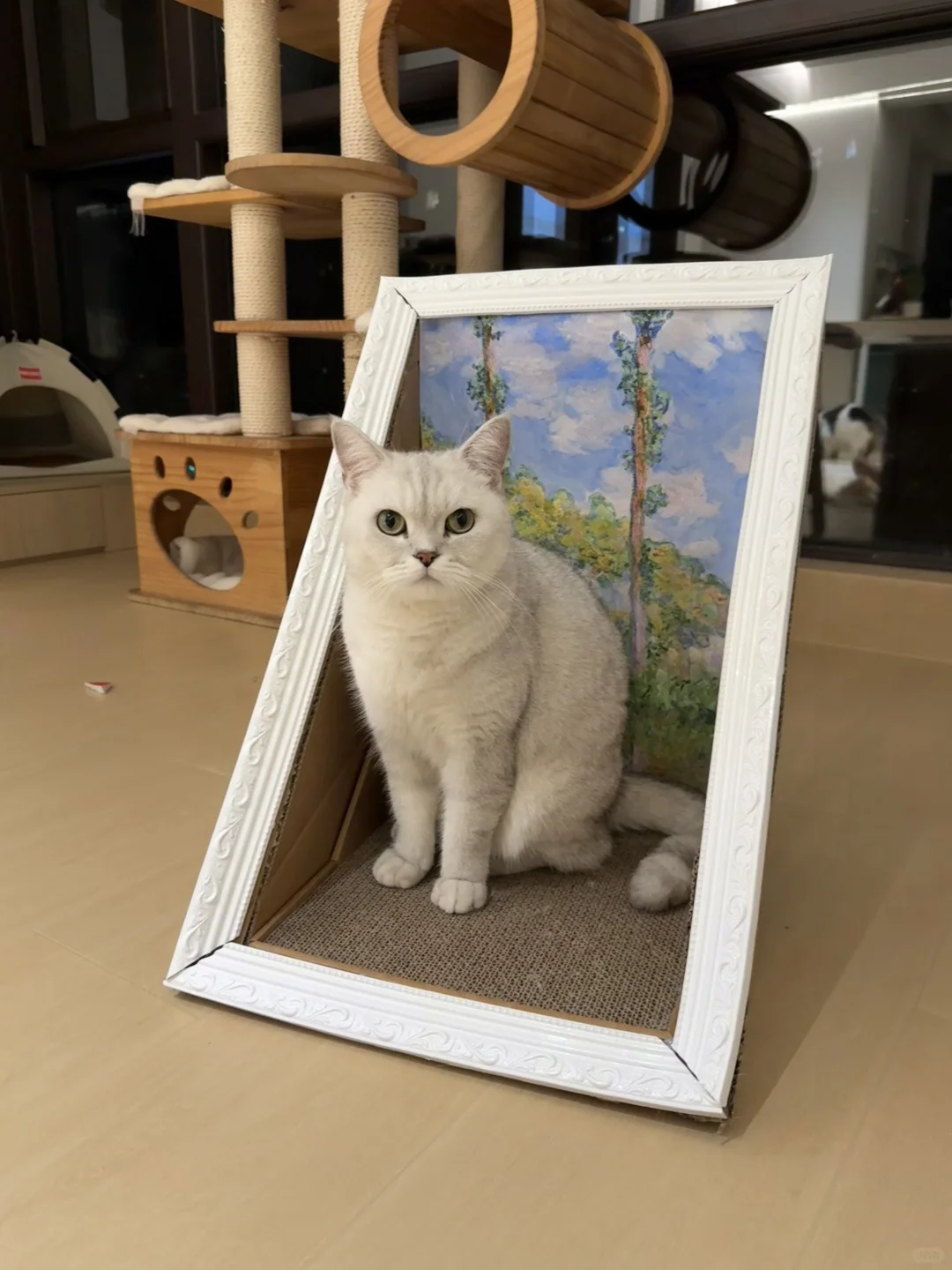 55💰跟风diy画框猫抓板，不敢细看👀