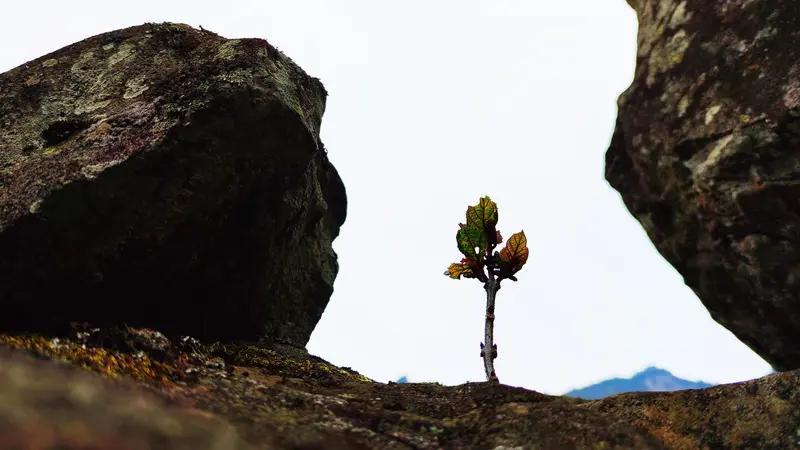 未曾清贫难成人，
不经打击老天真。
自古英雄出炼狱，
从来富贵入凡尘。
醉生梦死