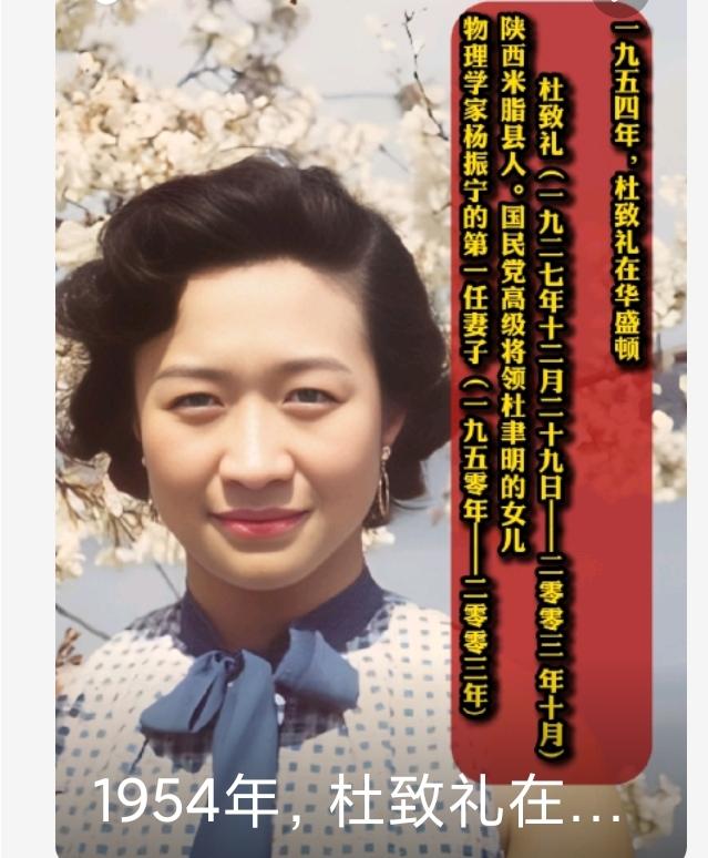 杨振宁一家是妥妥的学霸家庭啊。杨先生前几天以103岁的高龄离我们飘然而去，但这位