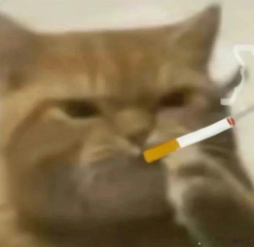 光光你是打算俩人的官摄一起放，方便我们直接剪双人的对吧？【翻素材已疯】 