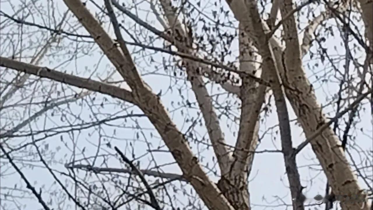 五一美景随拍