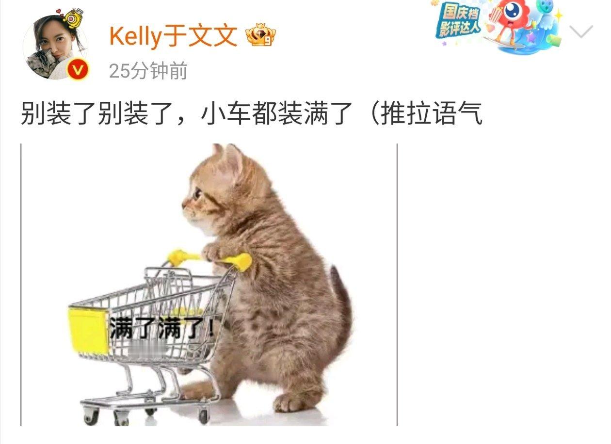 于文文和年货们的推拉# ​​​