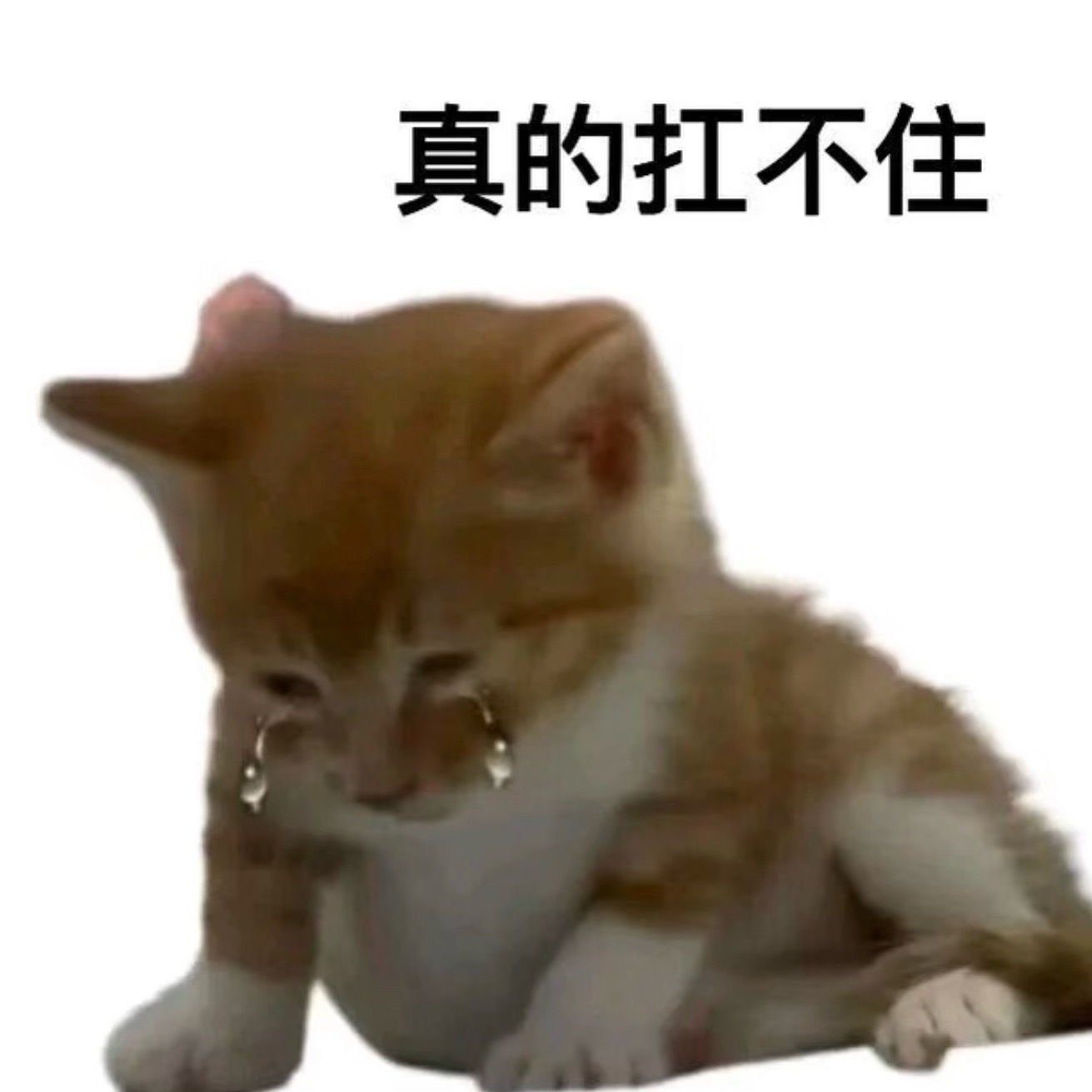 有一个小女孩想看一些新花絮💧 