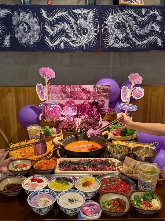 成都这家！让我爱上酸汤锅！