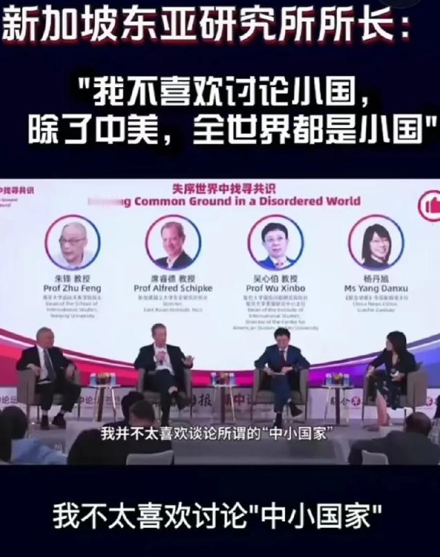 [微风]2025年10月，美国教授在新加坡论坛称除了中美，全世界都是小国，我没有