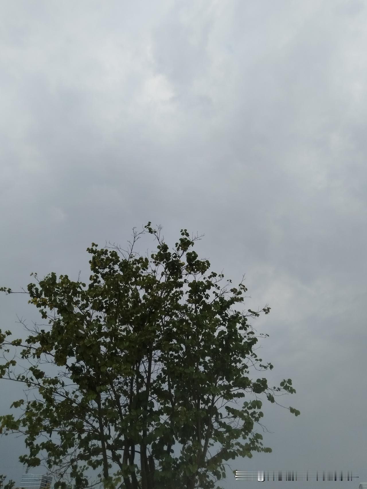 早上好！晨光熹微，窗外的鸟鸣清脆悦耳，手机屏幕亮起，一条条“天天头条”跃入眼帘。