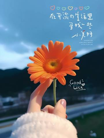 🚚...ᴅᴜᴅᴜ²⁰²⁴ꀿªᵖᵖᵞ☺︎ꔛ♡ ✩⁺˚♡•͈ᴗ•͈ ♡◡̈𓂃每天