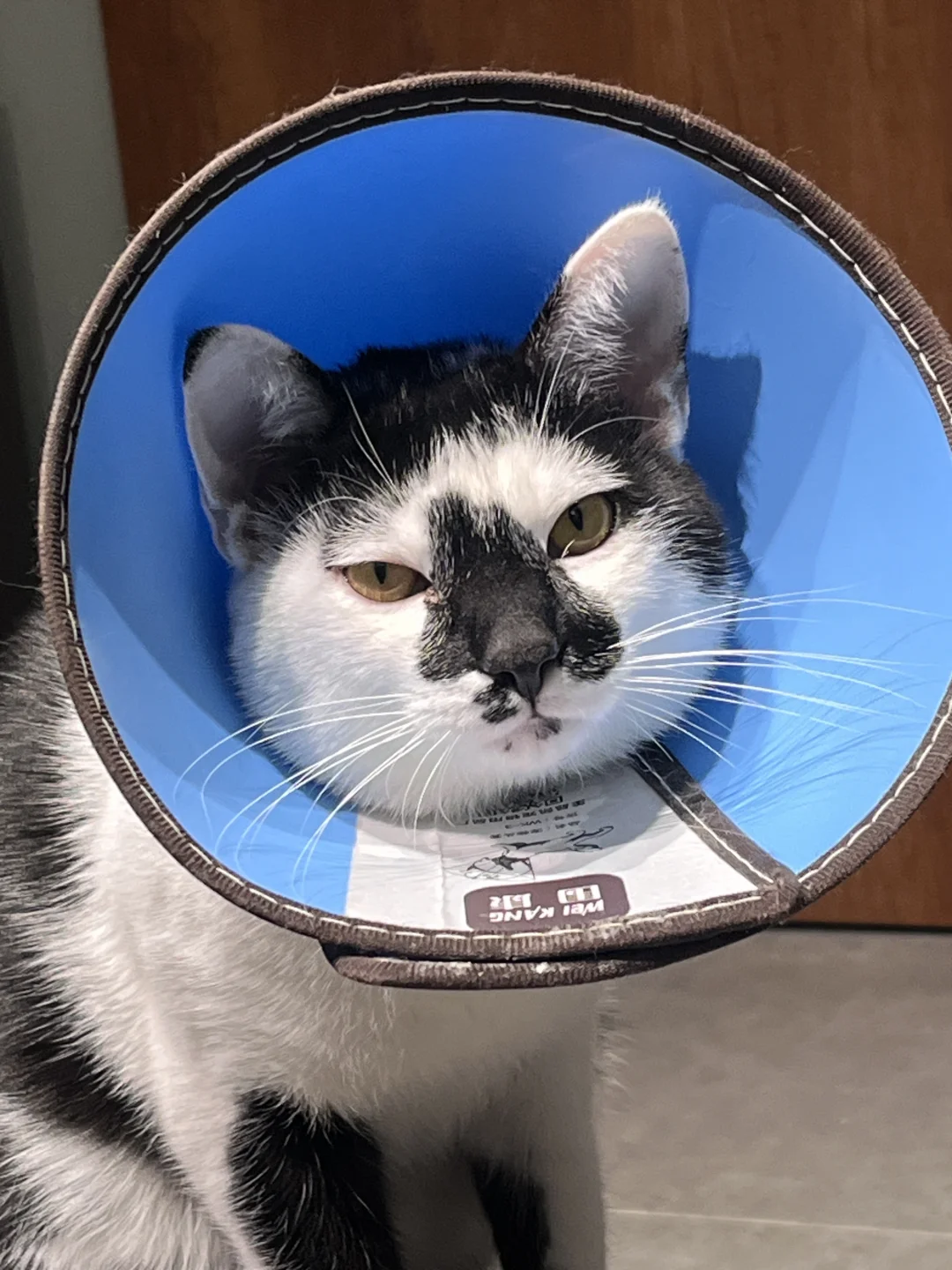 砸手里了救救孩子