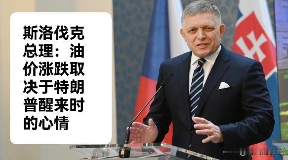 斯洛伐克总理：油价涨跌取决于特朗普醒来时的心情

   据外媒报道伊朗战争推动全