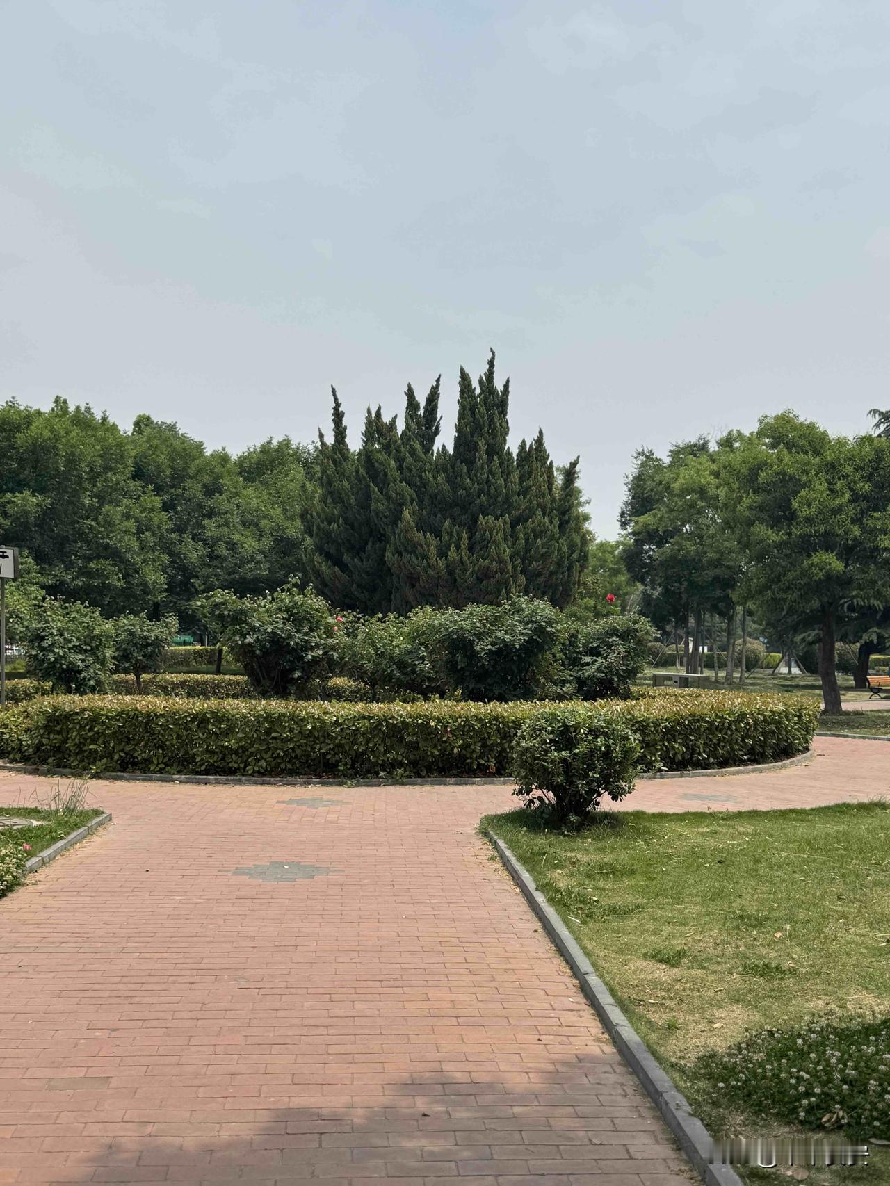 公园美丽景随拍随手一拍