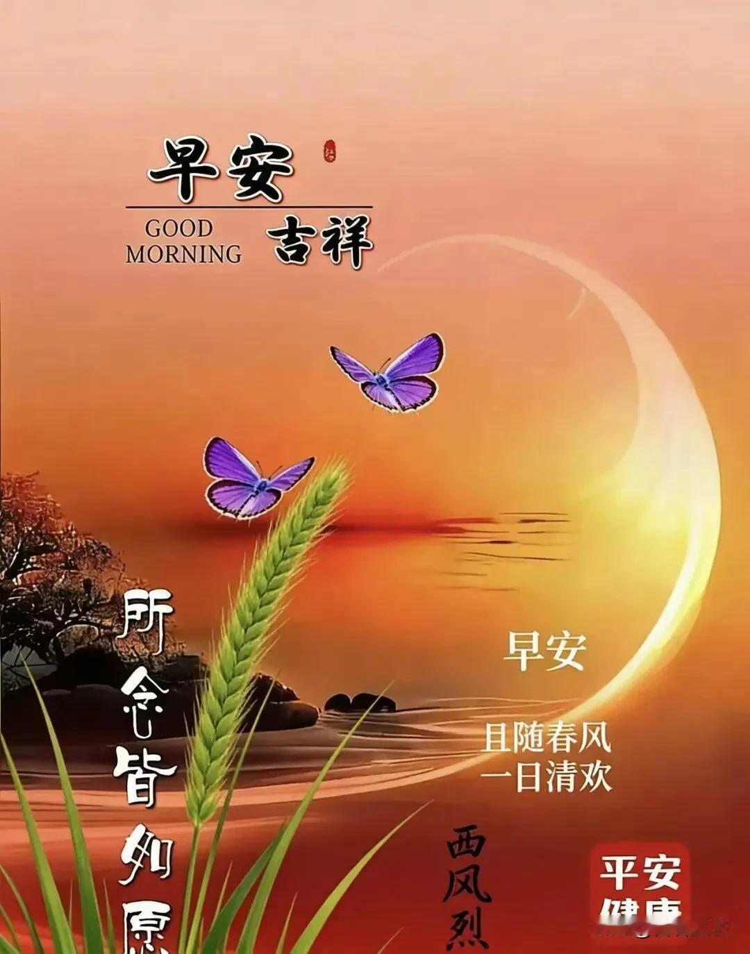清晨有暖阳，心中有温柔，祝你一整天都顺心如意。