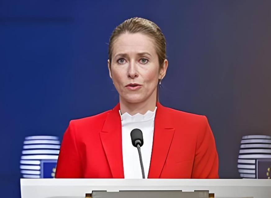 欧盟承认比不过中国，大国名单却没名字，谁来救这摊子烂事？

欧盟外长卡拉斯昨天开