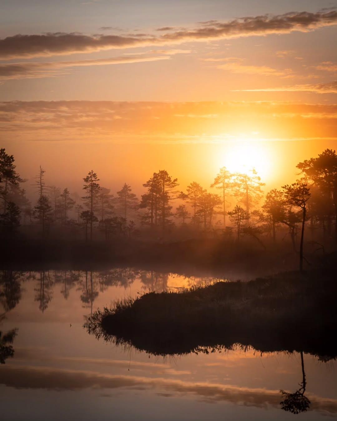 气温微降，北欧的清晨被一团温柔的雾气包裹。窗外不再是凡尘，而是自然执笔的空灵画作
