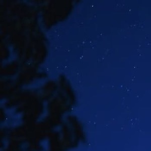 选择善良是一块路标，在你迷失方向之时，给你指明前进的方向；选择善良是一口清泉，在