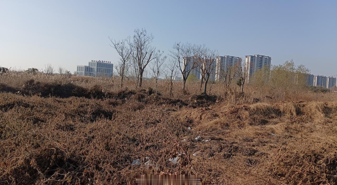 连云港[超话] 江苏海洋大学海滨校区项目黄了吗？这都2025年年底了，一年又要过