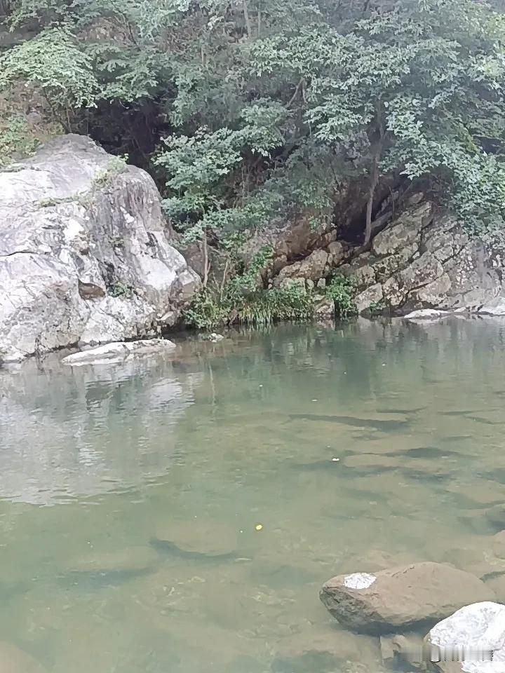 人这一生，
不必执着未来，
不必纠结得失祸福。
 
只需一心，踏实行善。
 
世