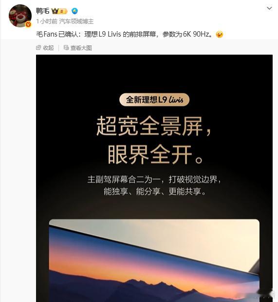 哦吼，理想这块屏幕，是哪家的