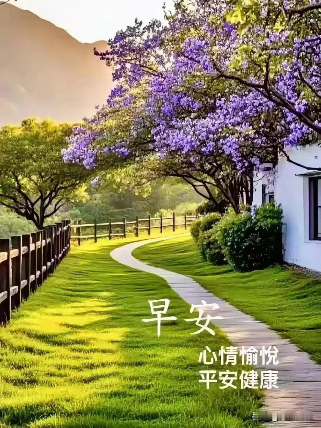 早安呀，迎着晨光，好好享受当下的每一天。