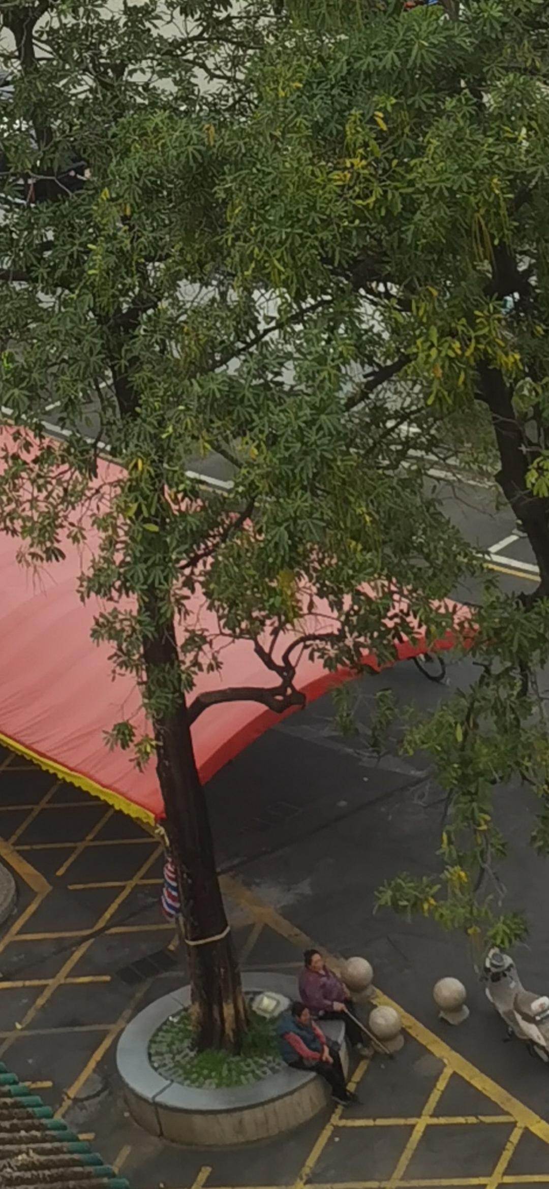 村里搭好了棚，大盆菜要开始上了。