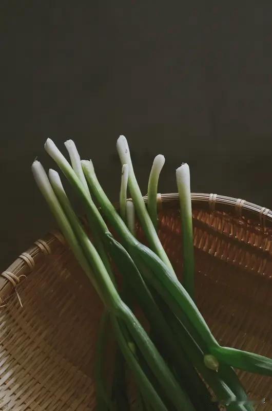 春天的味道，那是一种难以言喻的美妙。当花开、柳枝泛绿，北京的春天就这样悄然而至。