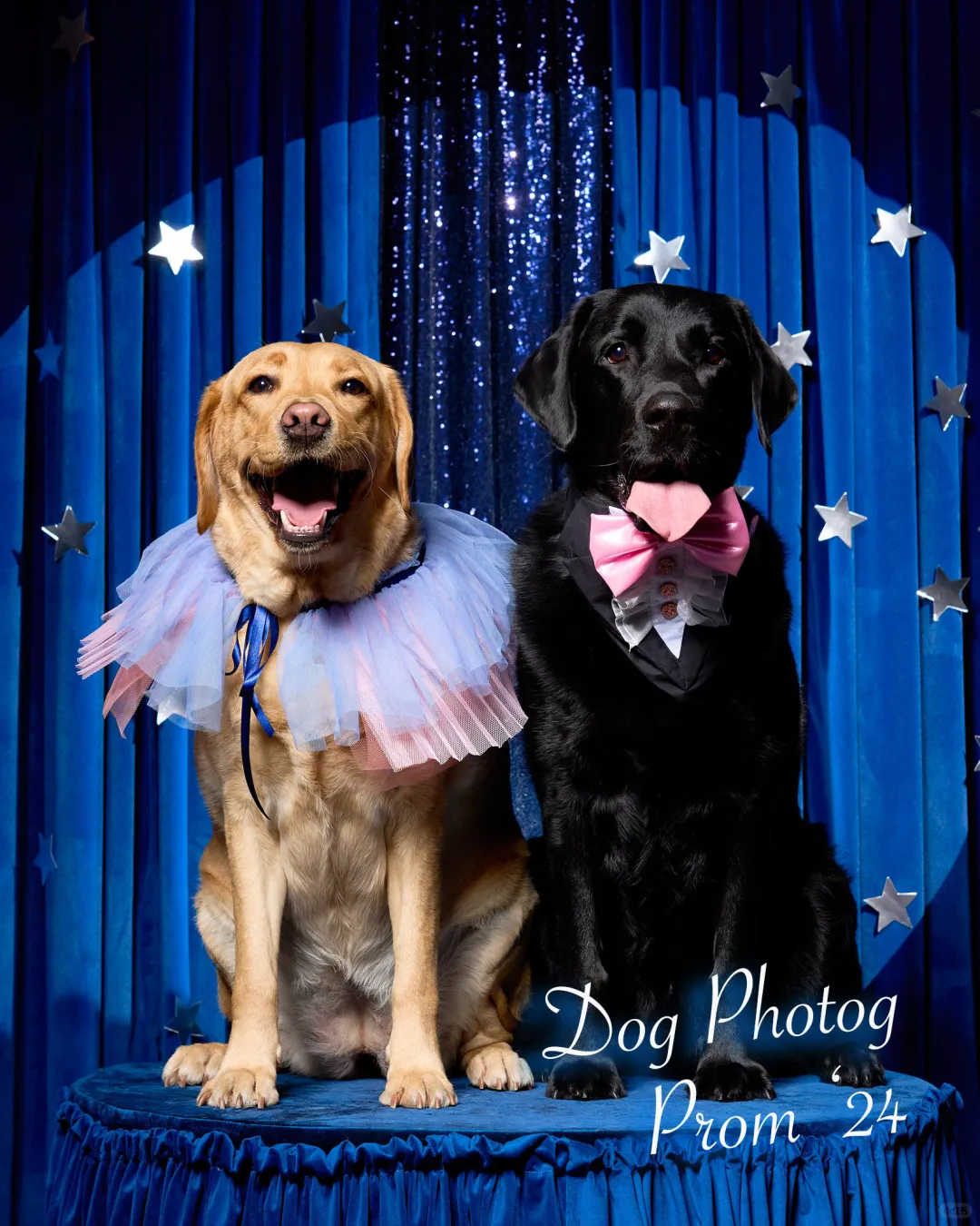 又收到了几张舞会照片