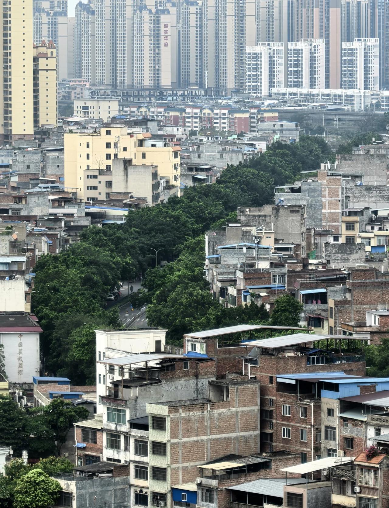新旧对比
一边是拔地而起的高楼，一边是充满烟火气的老街区
一条绿意盎然的道路，把