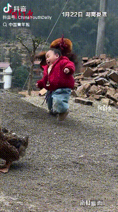 “惹了不该惹的人”！湖南娄底，一岁五个月的宝宝追赶鸭子玩，没想到被一旁的“老六”