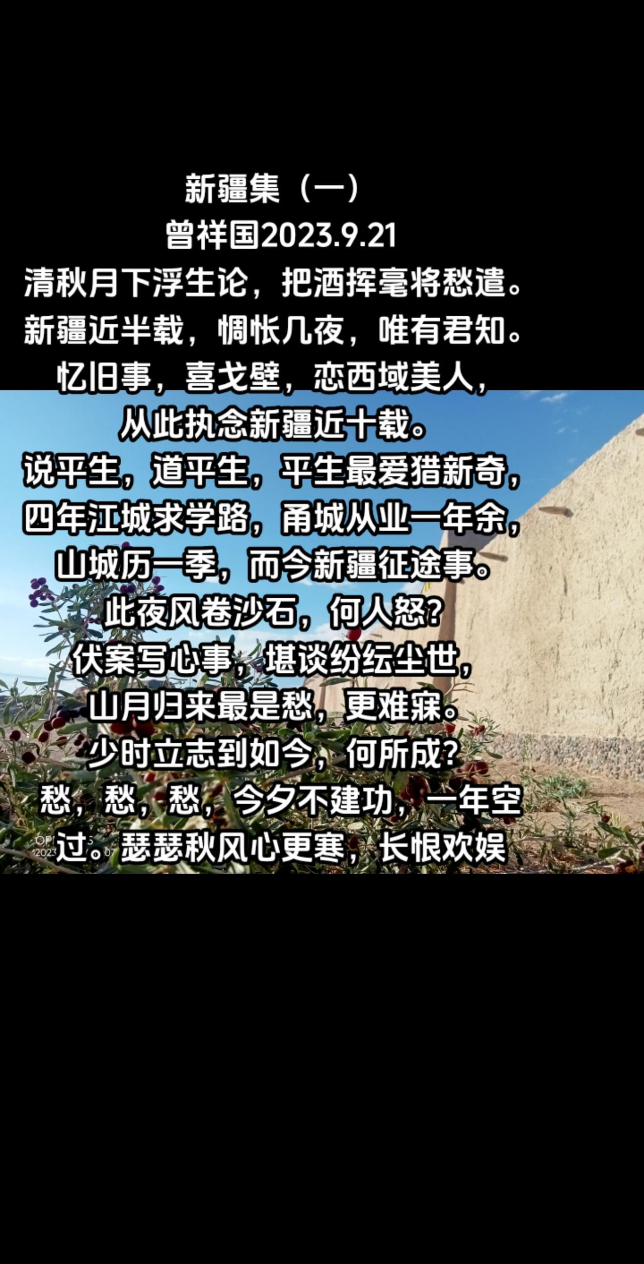 新疆集（一）