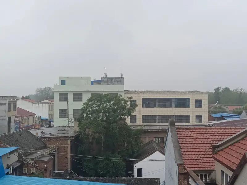 心理健康支持必须“前置”而非“事后”
魏某性格内向，长期处于高压、冲突与孤立无援