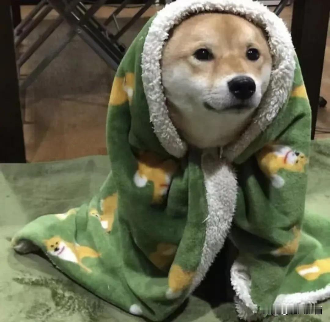 普京：我要祝贺中国制造商缺钱了就说一声，别假惺惺的了，前脚加税后脚就拜年，哄鬼呢