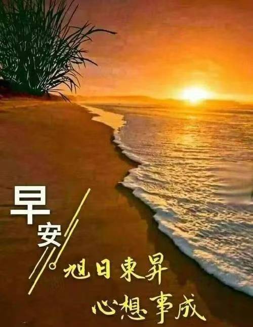 分享图片 