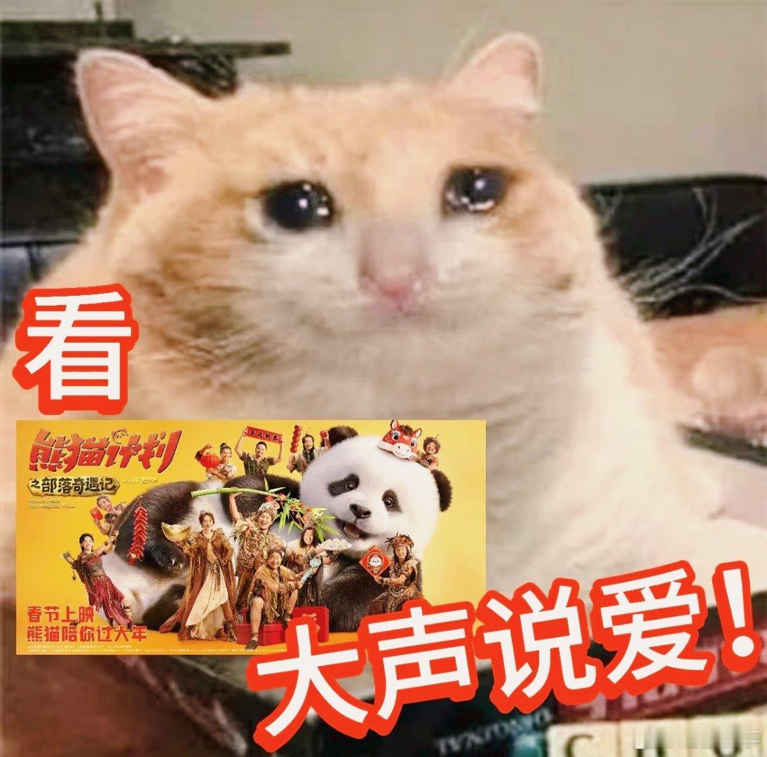 熊猫计划爱要勇敢说出来  成龙护你周全，马丽予你温柔，乔杉送你真诚。熊猫胡胡的世