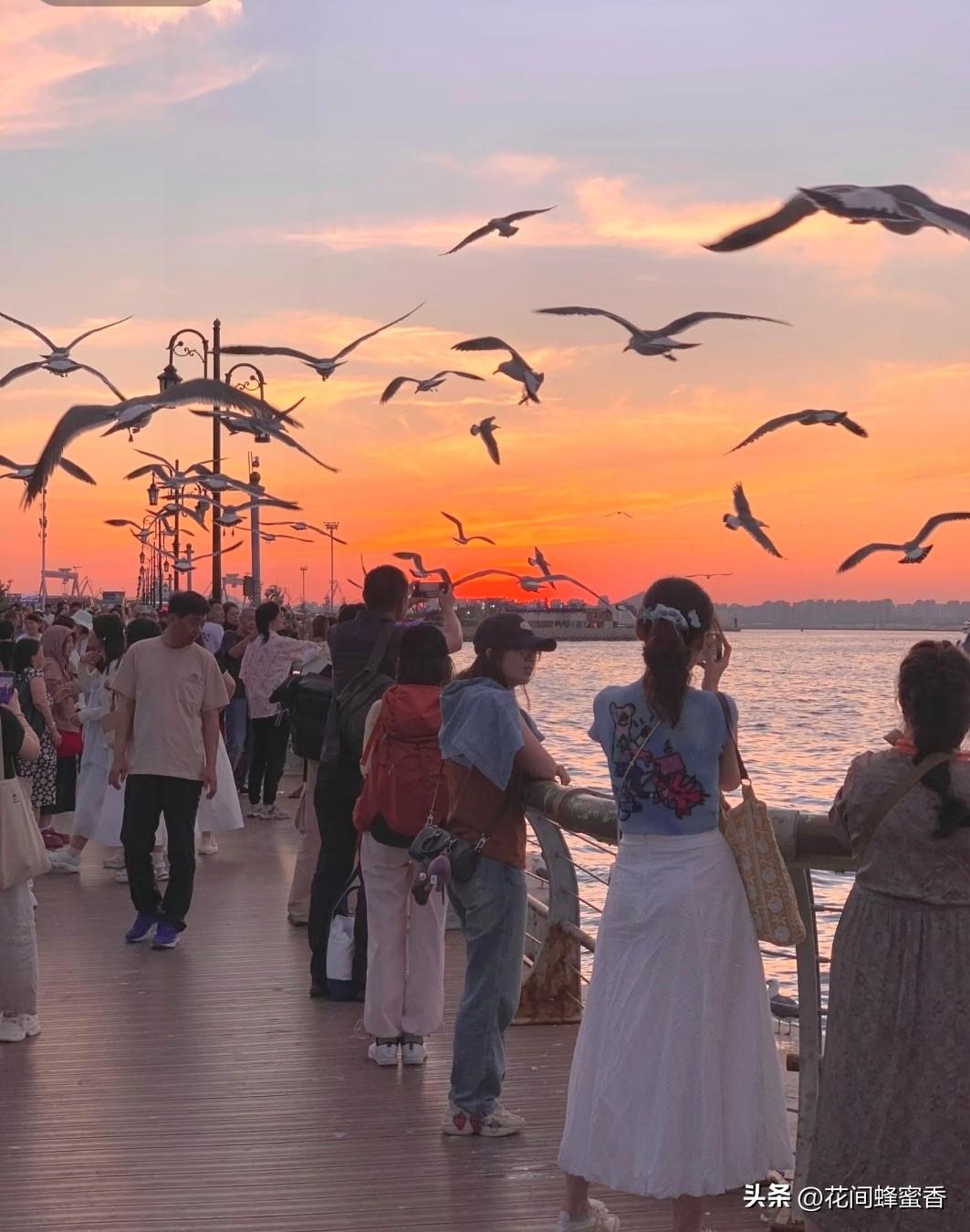 大家认为全国的沿海城市大连怎么样大连作为北方滨海明珠，山海相依、气候宜人，海岸线