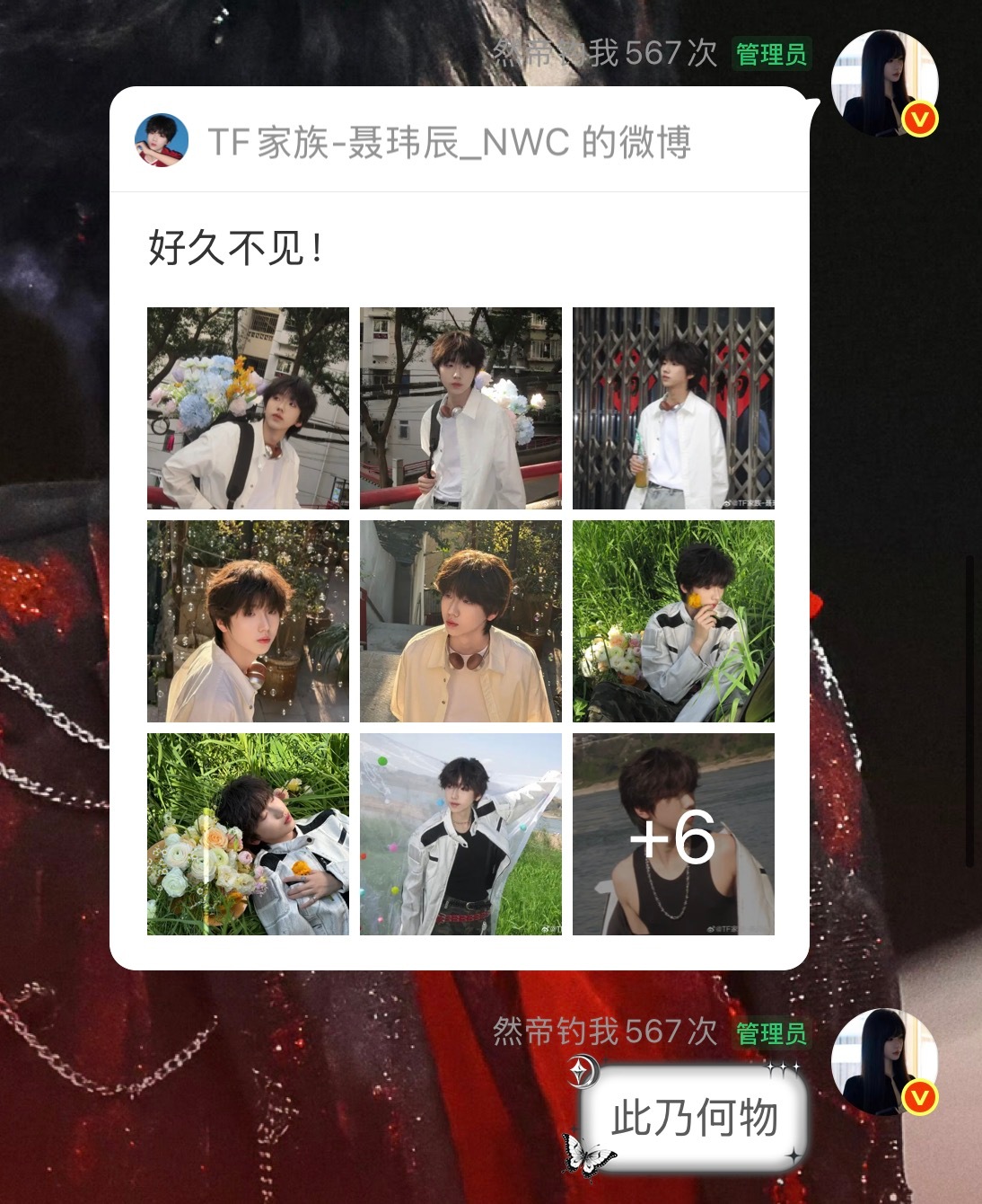 我今天一天belike： ​​​