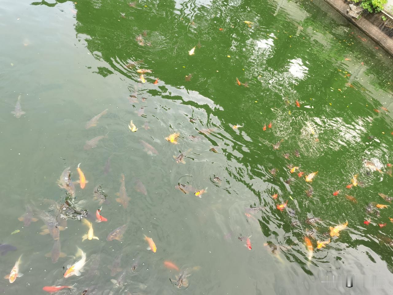 有钱人的想法和穷人不一样。
顶级富豪的想法和一般有钱人想法不一样。
聪明人的想法