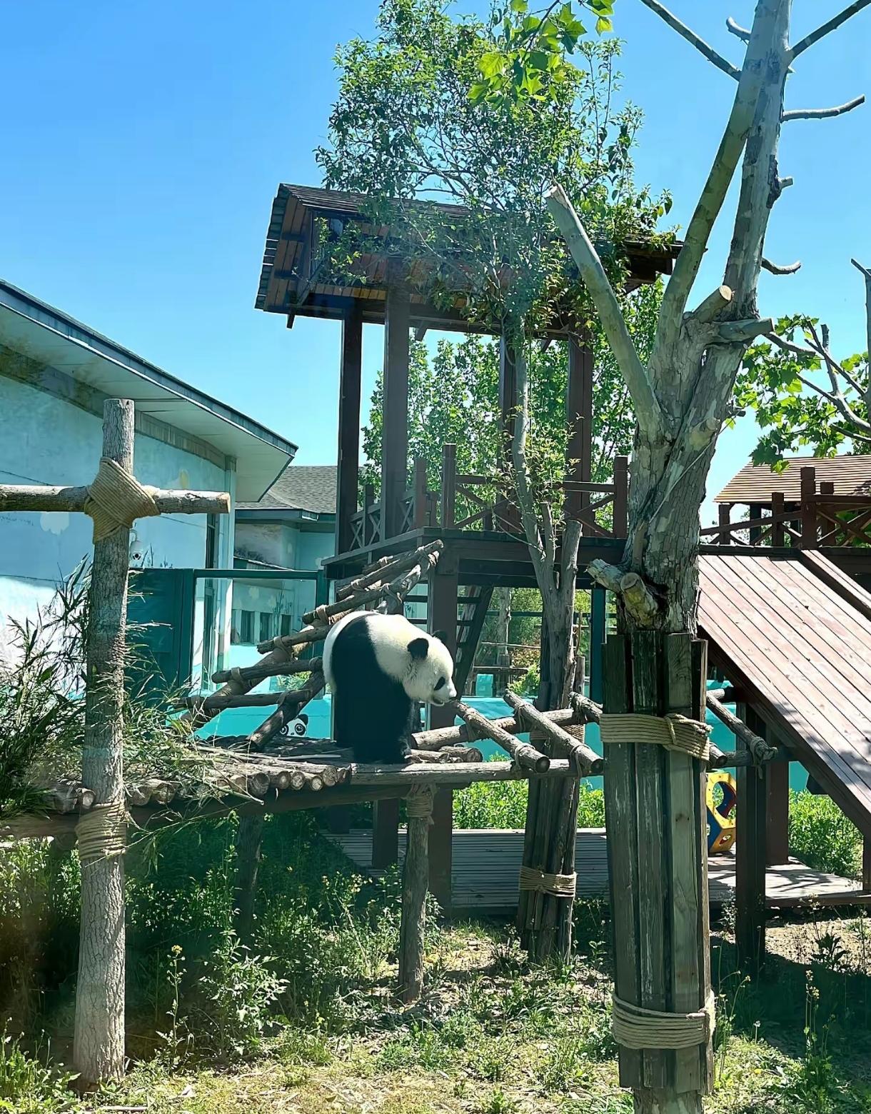 昨天周六我带老婆孩子去临沂市里的动植物园逛了一圈，拍了几张照片发了个朋友圈，然后