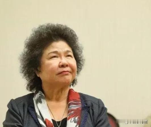 台独所谓“检察院院长”陈菊遭到台岛“国民党立委”罗志强痛批，自从陈菊接任后，与赖