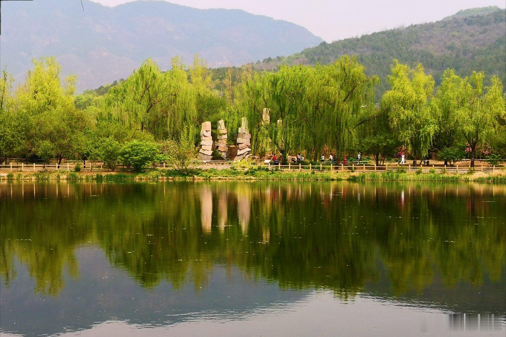 北京国家植物园春色满园 摄影​​​
