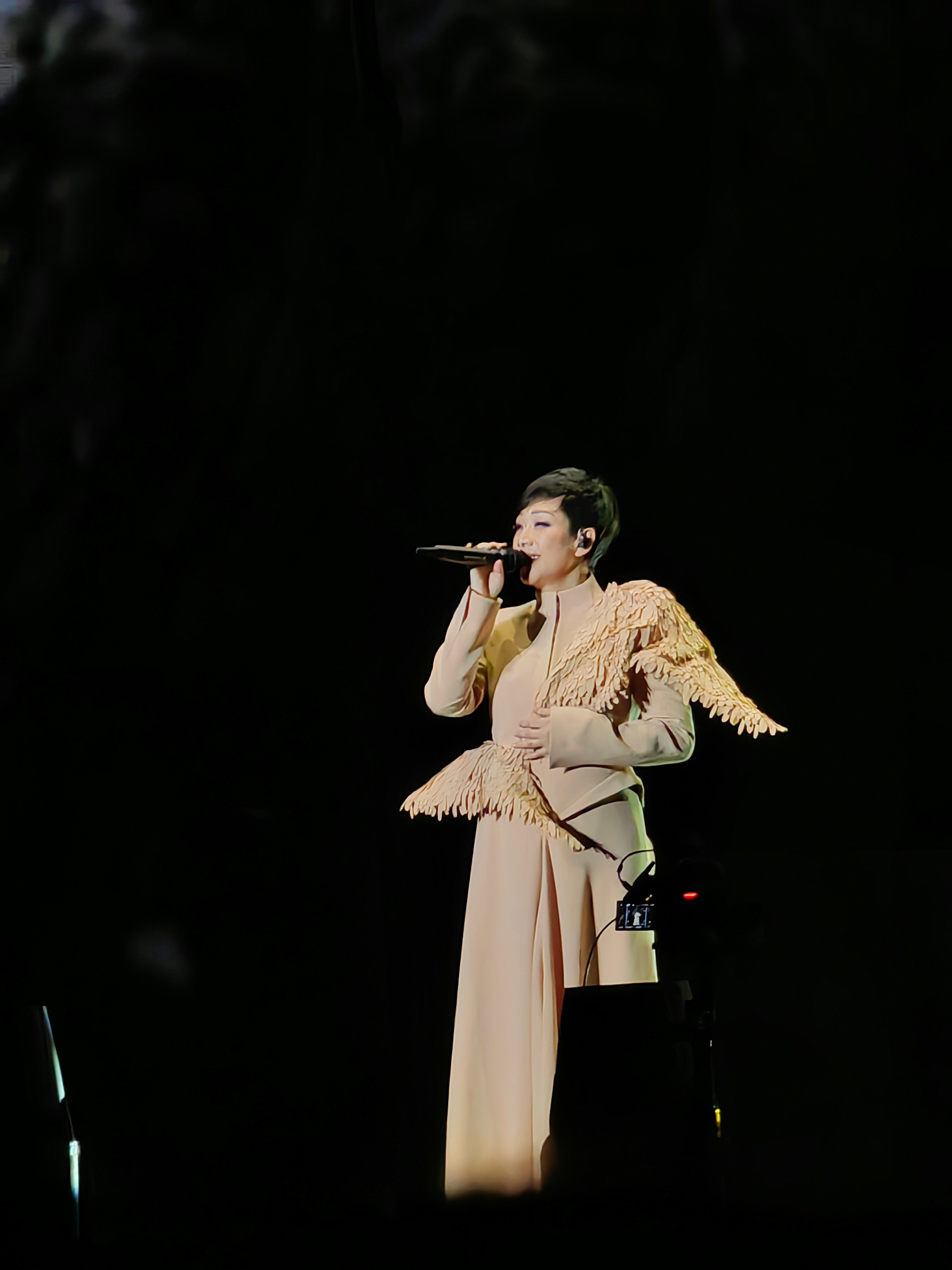 林忆莲·《回响·终章》·上海演唱会儿子说，只要不去想她已经60岁老奶奶了…要不然