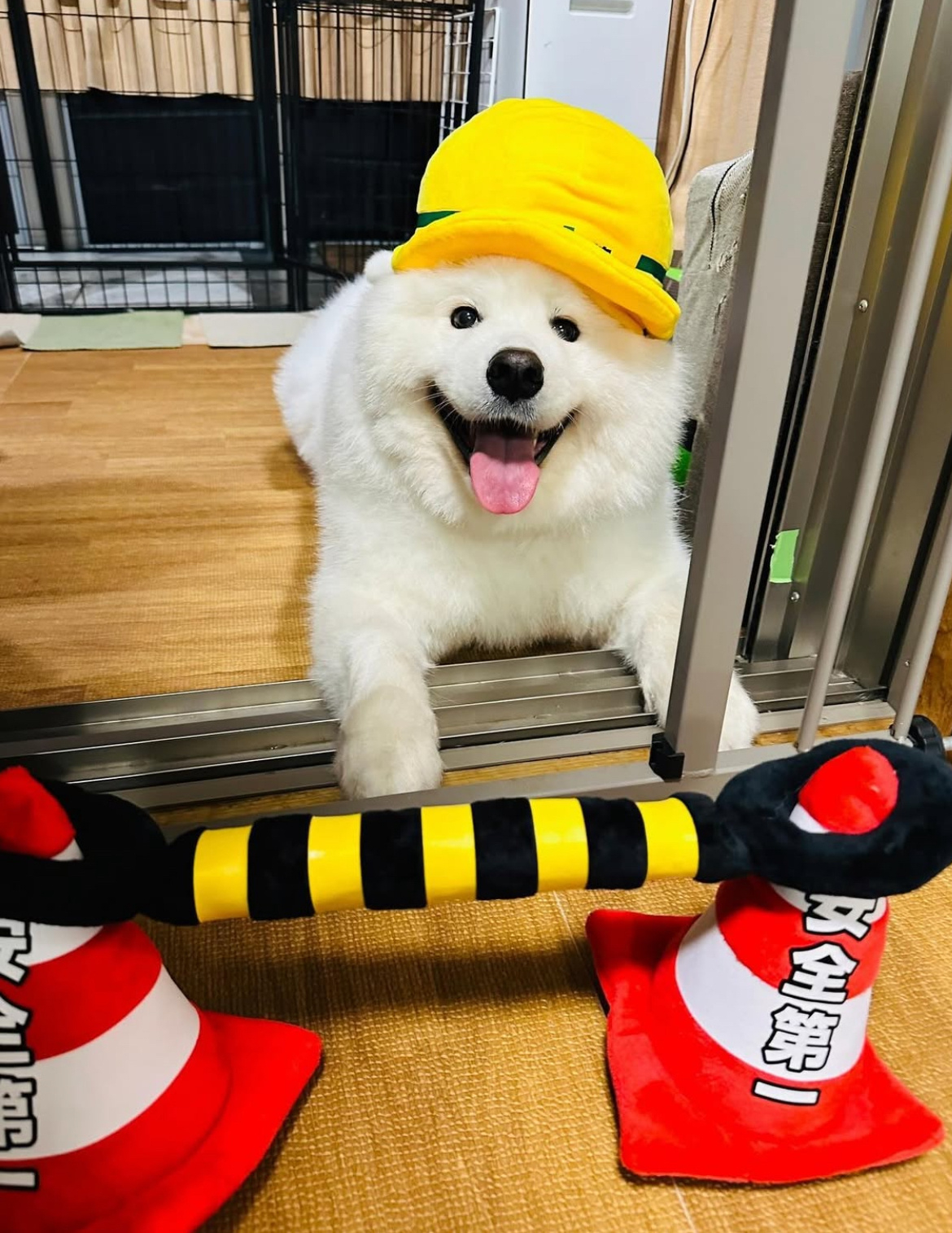 忙碌了一天的耶师傅下班了 