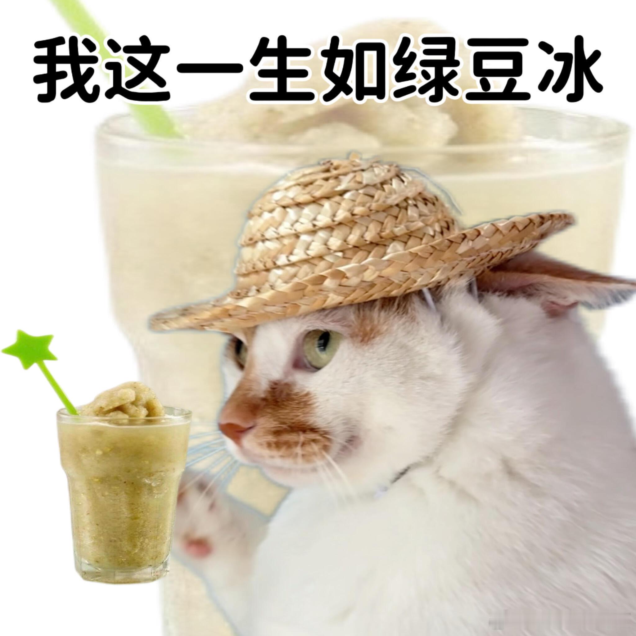 谐音梗是我这辈子的笑点 ​​​