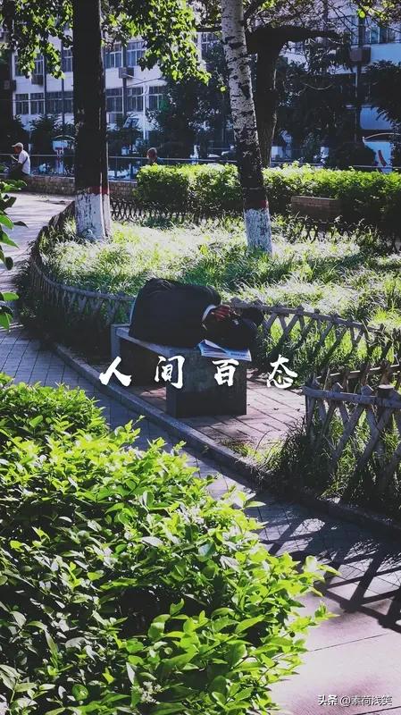 支持。“未经他人苦，莫劝他人善”是对个体苦难最基本的尊重。

没有走过别人的黑夜