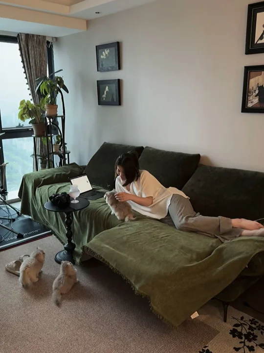 谁会不喜欢有猫的雨天☔️