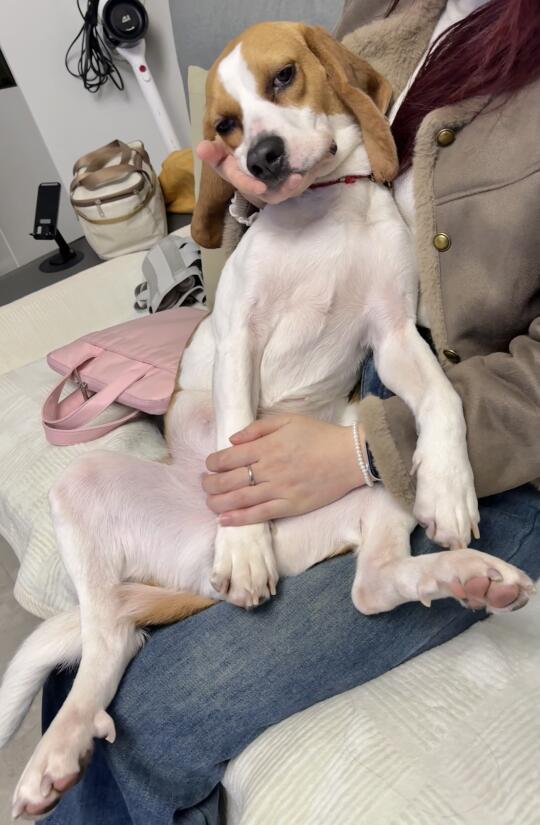 天天赖在怀里撒娇