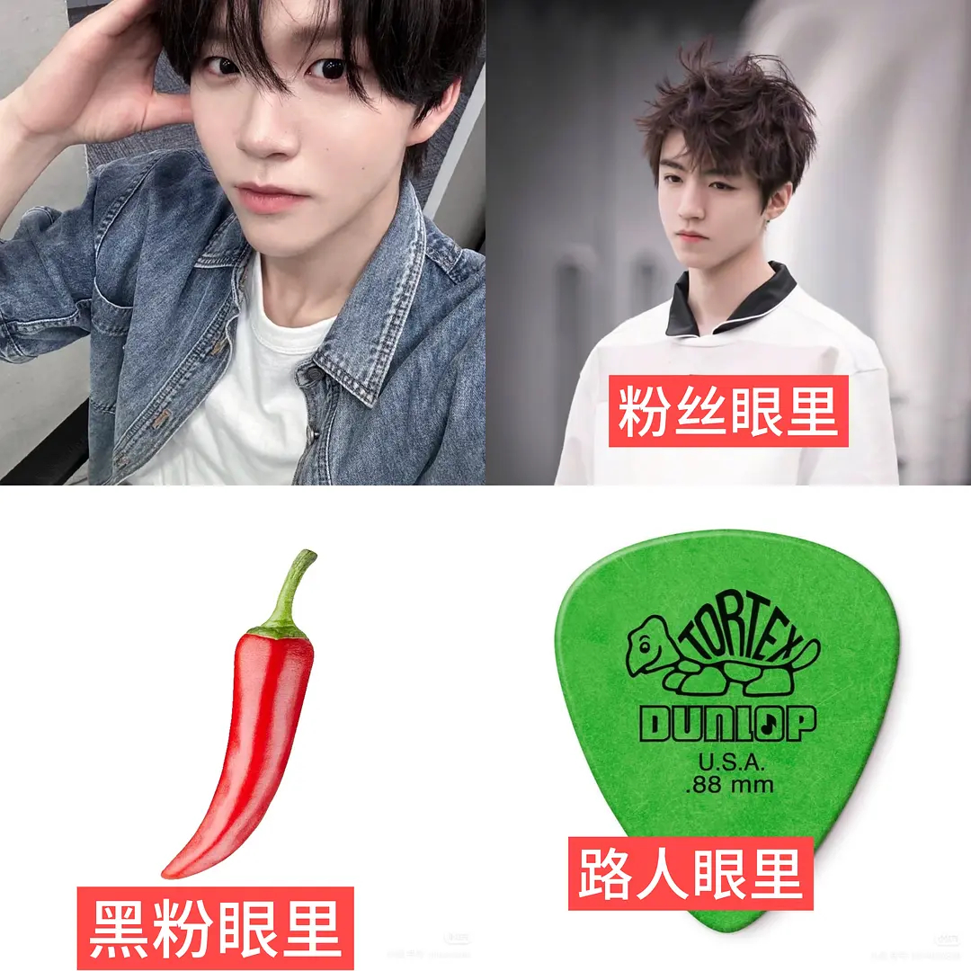 网友盘点了不同人眼中的 NCTWISH 